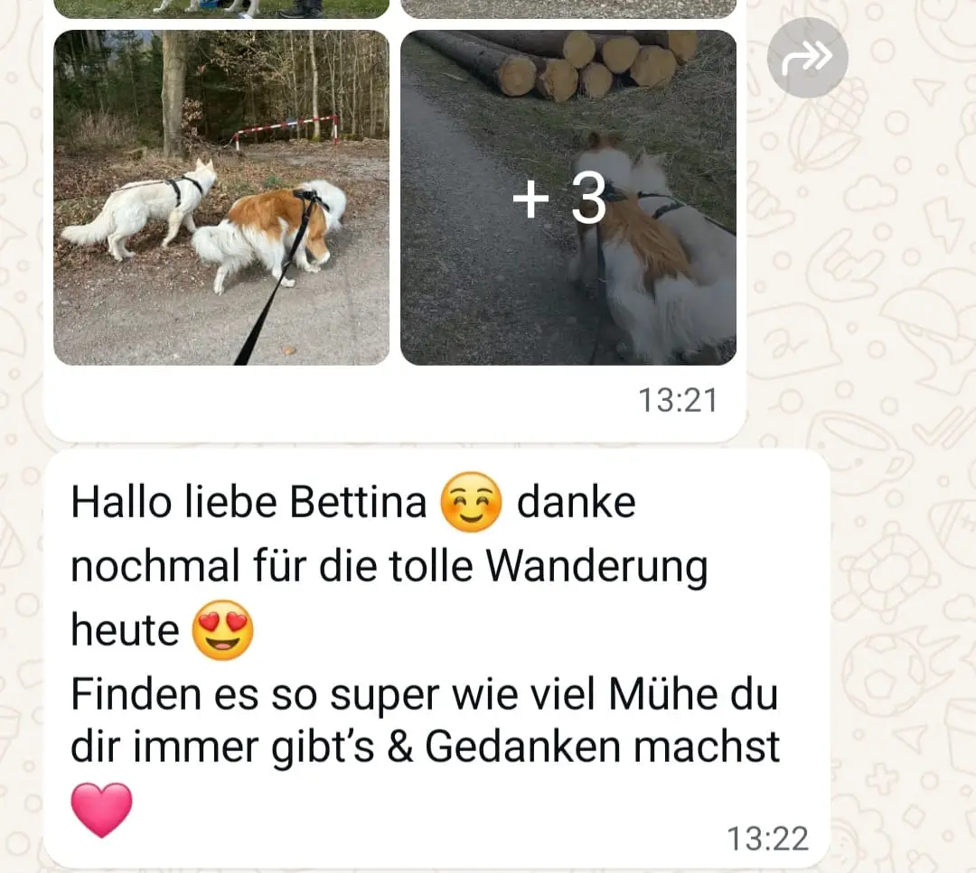 WhatsApp Image 2025-03-24 at 12.10.54 Kopie