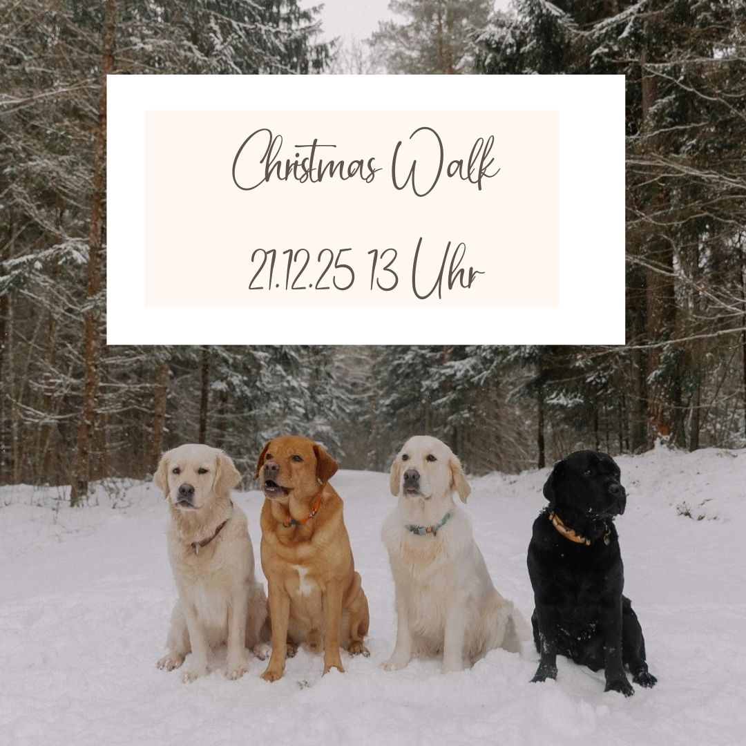 WhatsApp Bild 2025-12-11 um 16.35.46_84aad9d7